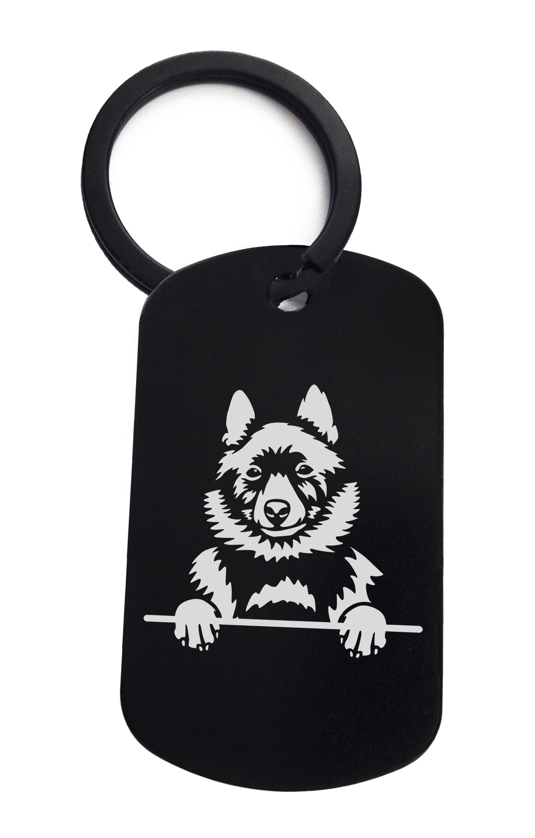 Schipperkes Cute Dog