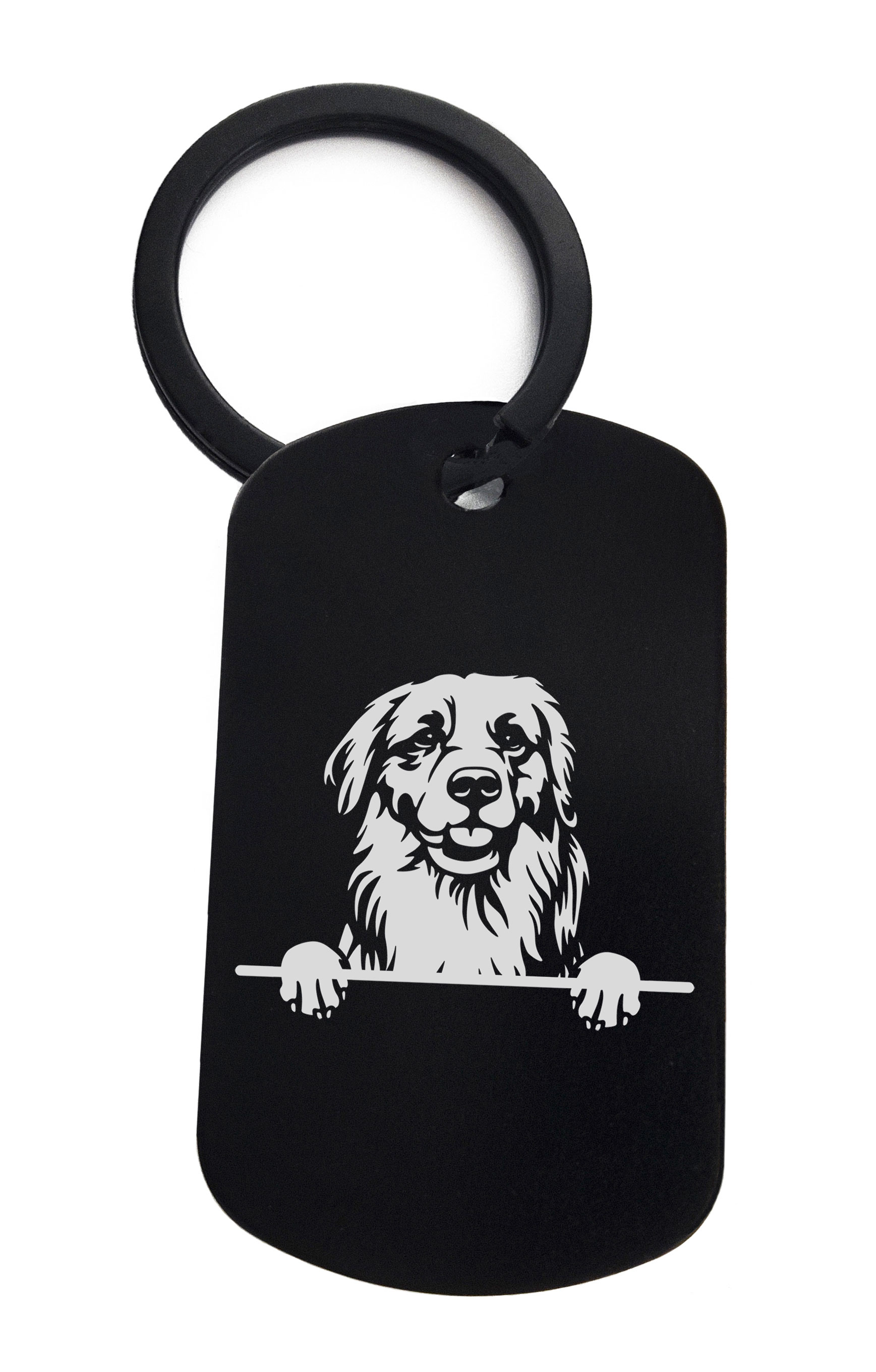 Retrievers Golden Cute Dog