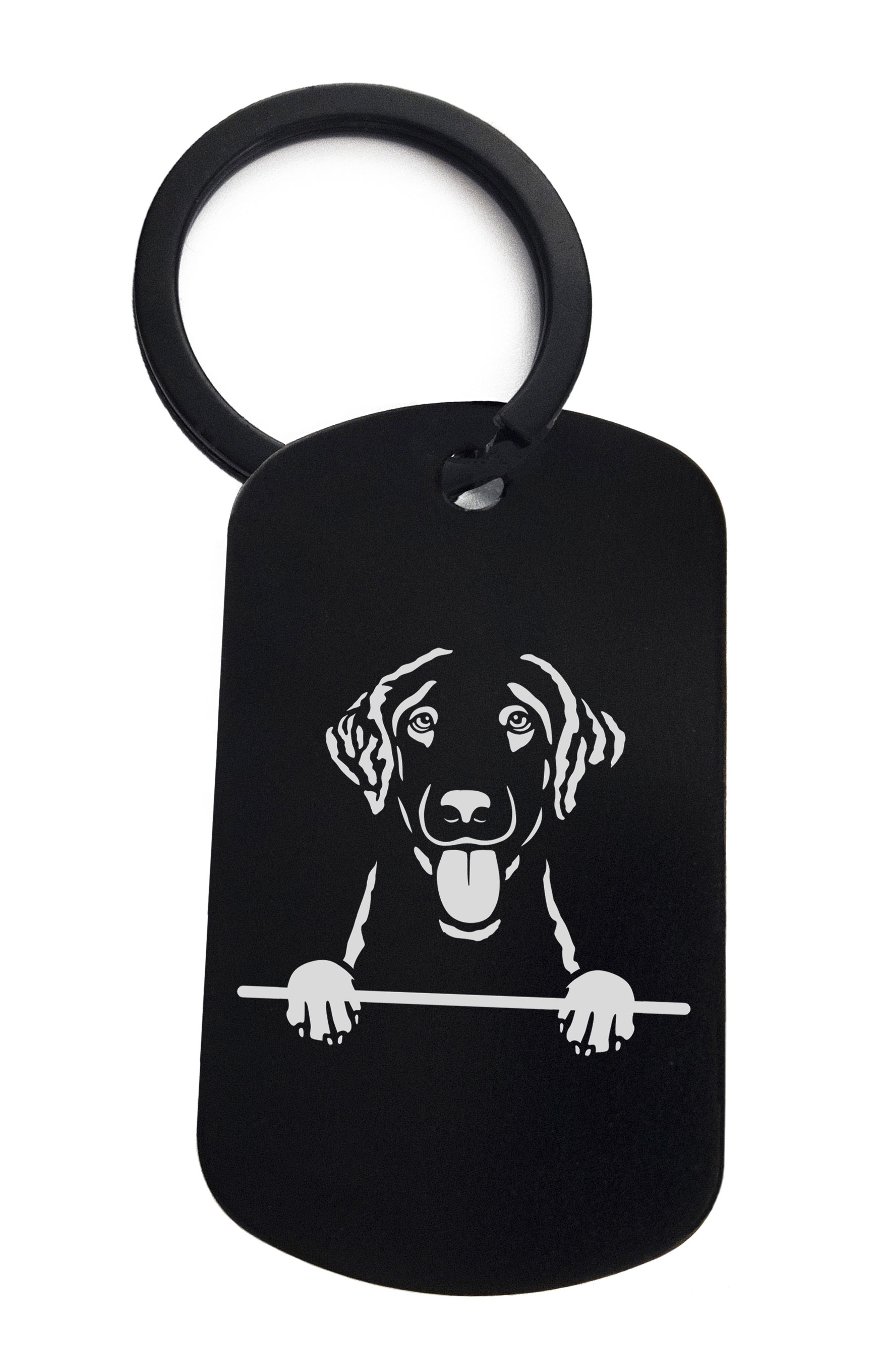 Retriever Curly Coated Cute Dog