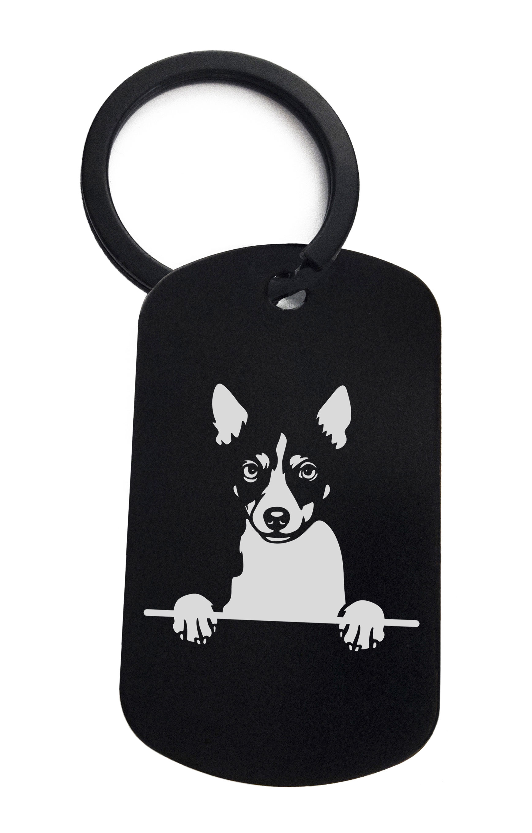 Rat Terriers Cute Dog