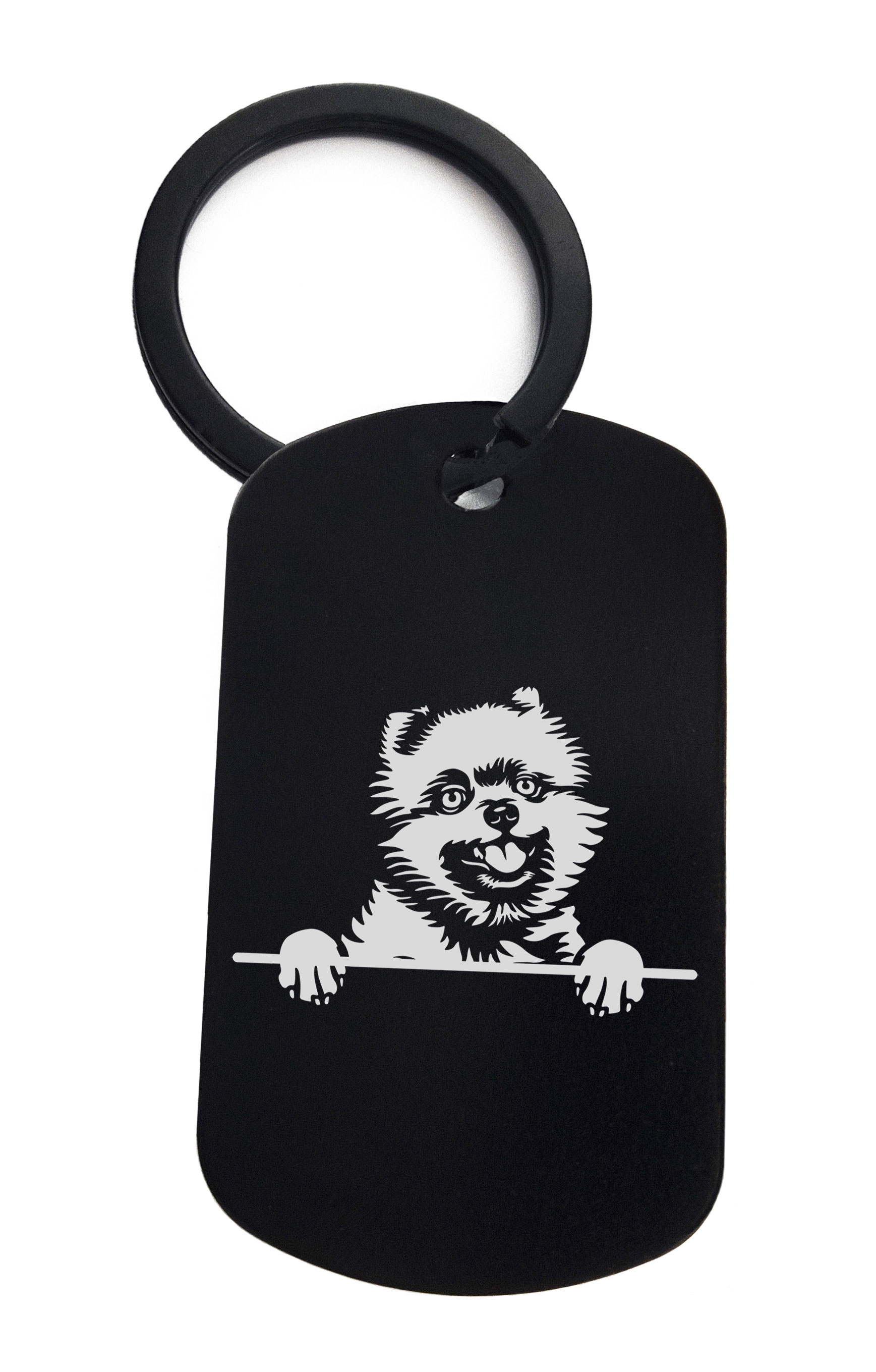 Pomeranians Cute Dog