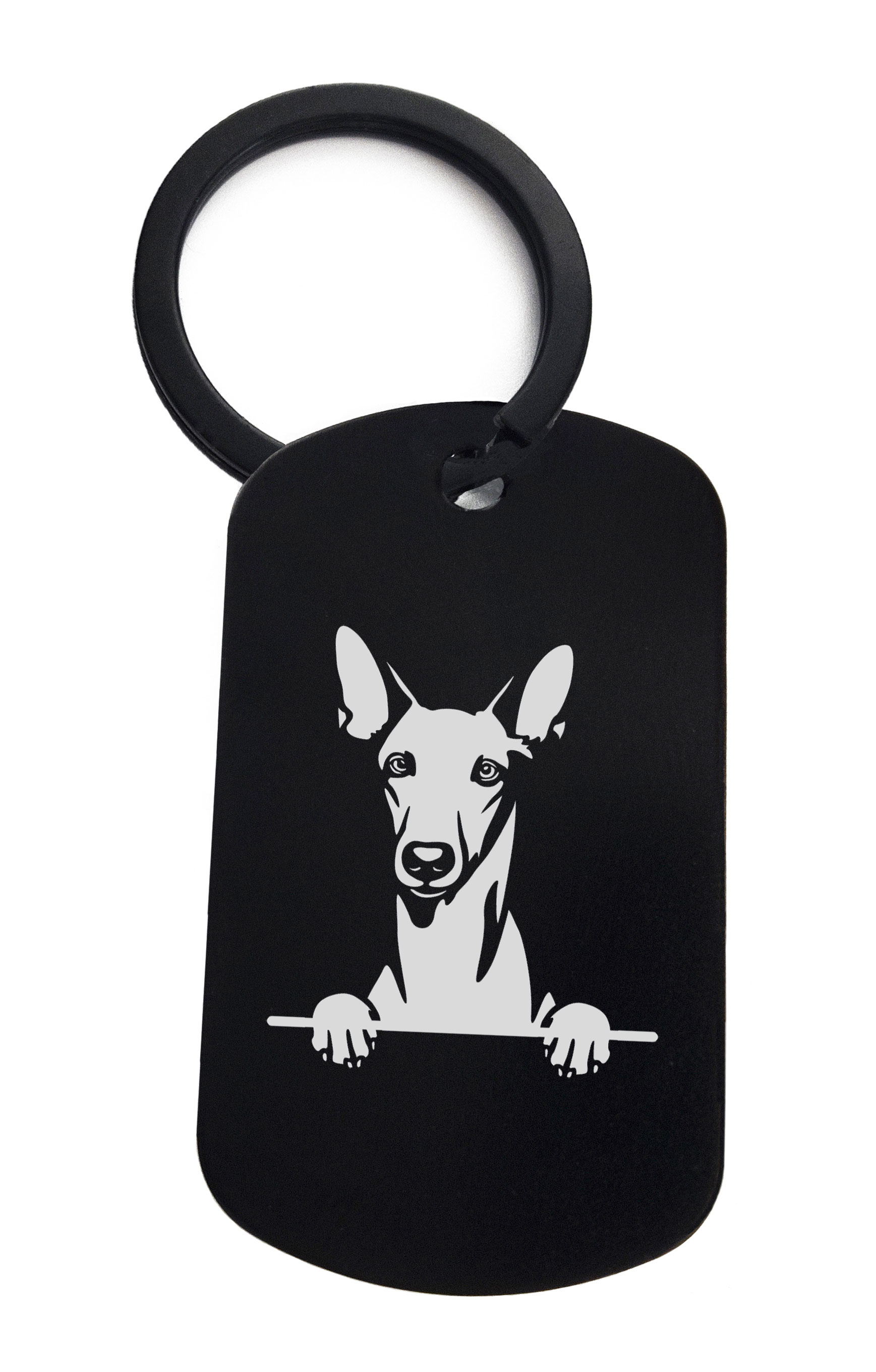 Pharaoh Hounds Cute Dog