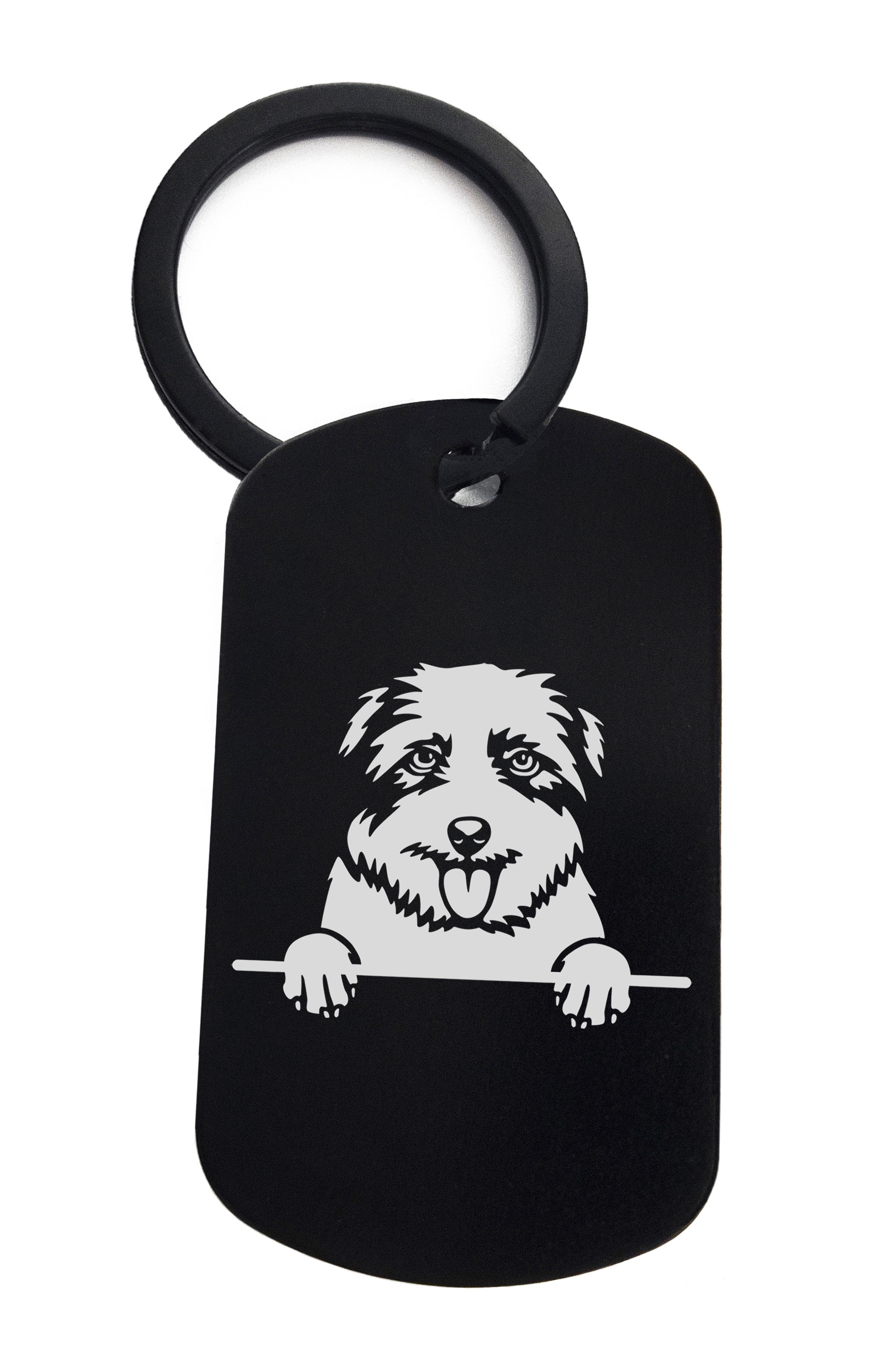 Norfolk Terriers Cute Dog