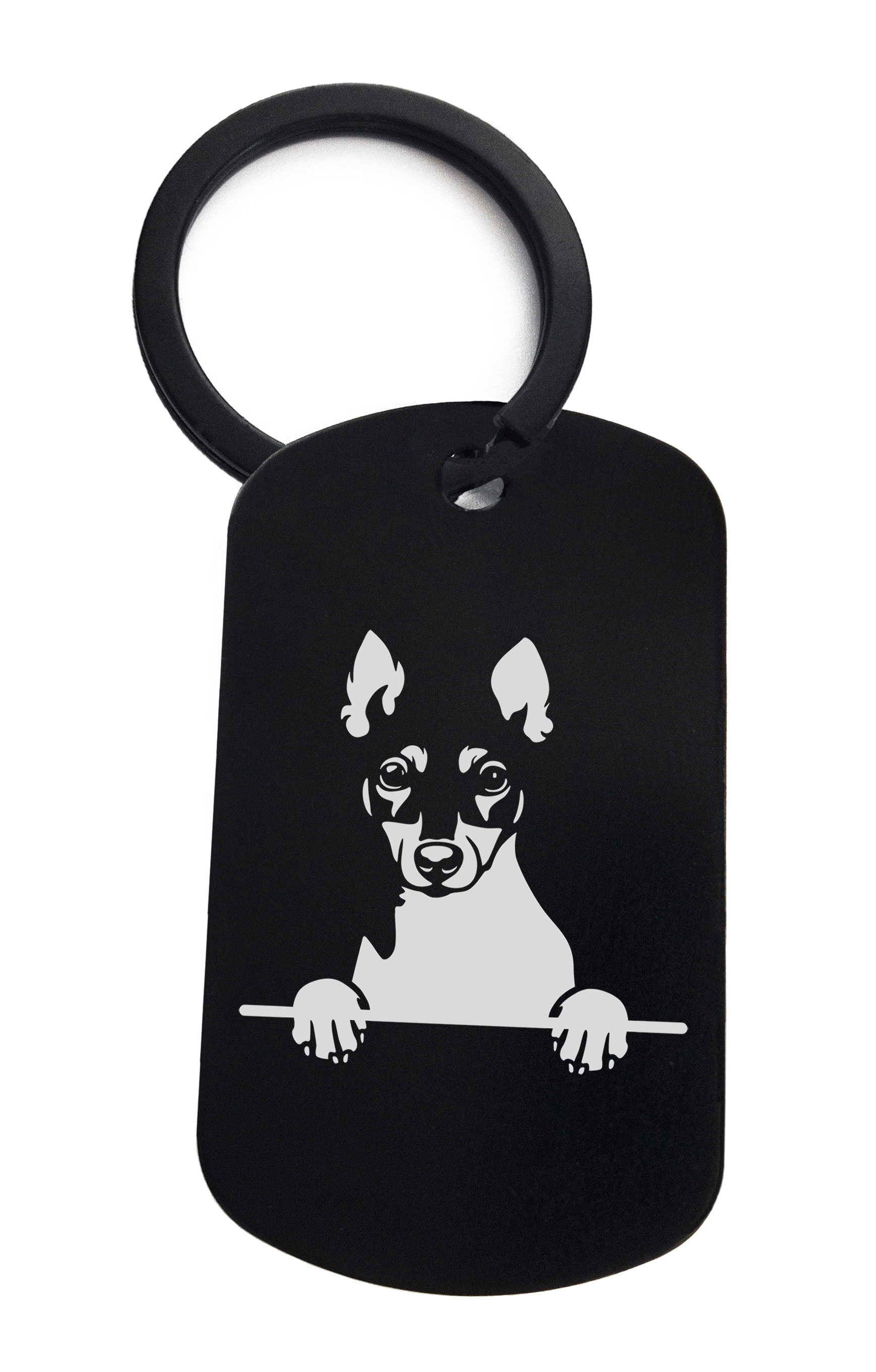 Toy Fox Terriers Cute Dog