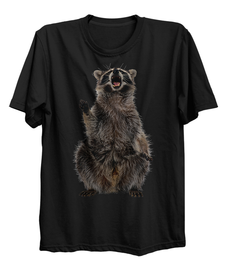 Racoon Standing Spirit Animal Cute