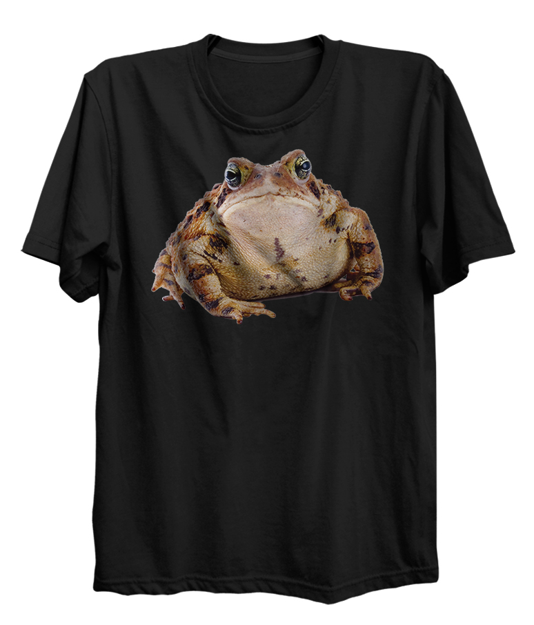 Toad Frog Spirit Animal