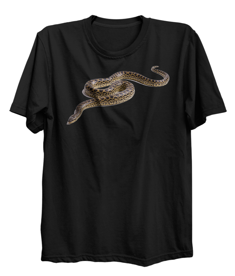 Anaconda Spirit Animal Snake Reptile Pet