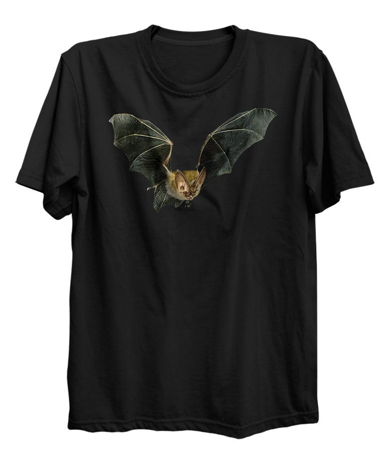 Bat Spirit Animal Cute