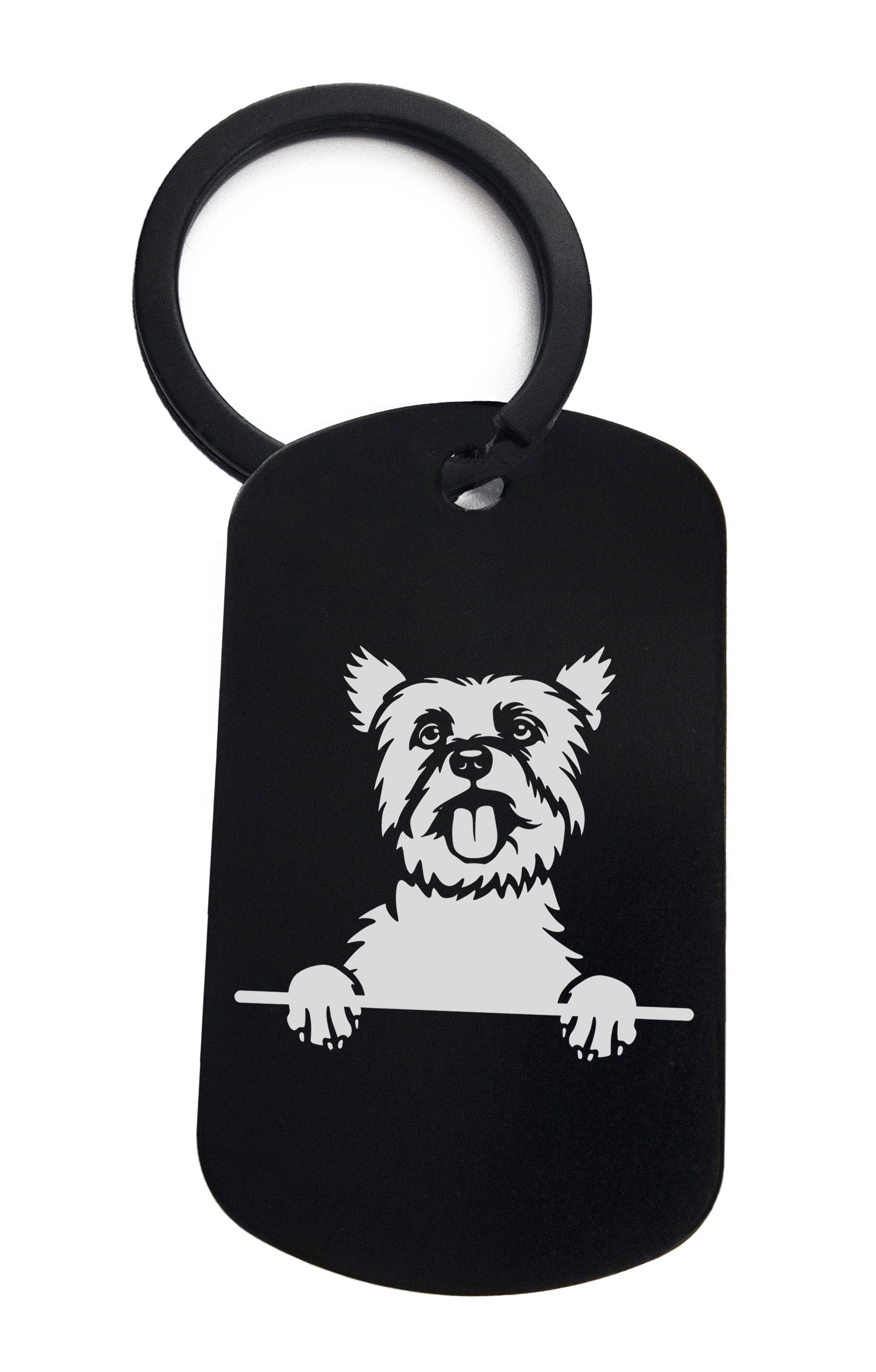 Yorkshire Terriers Cute Dog