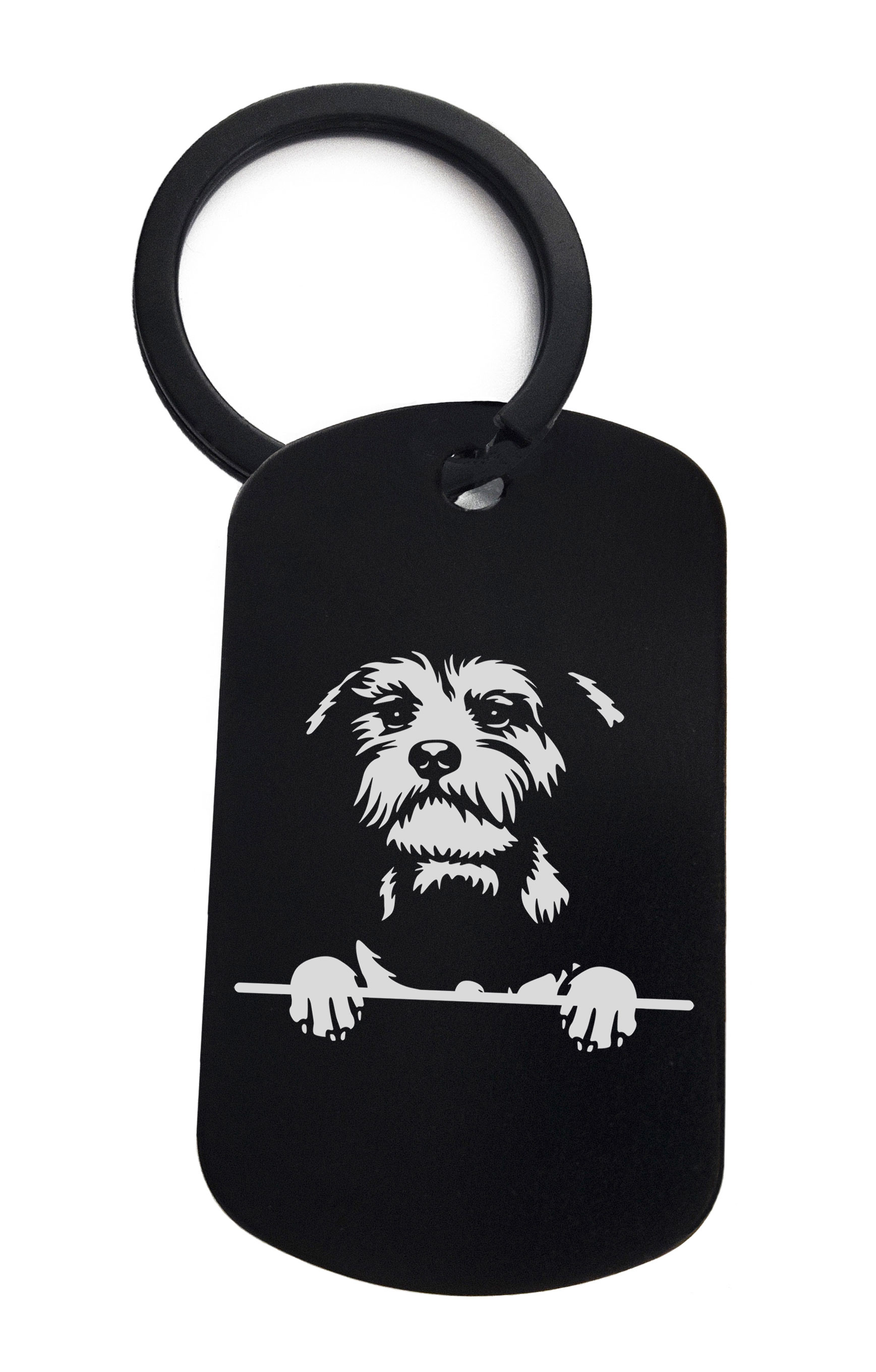 Standard Schnauzers Cute Dog