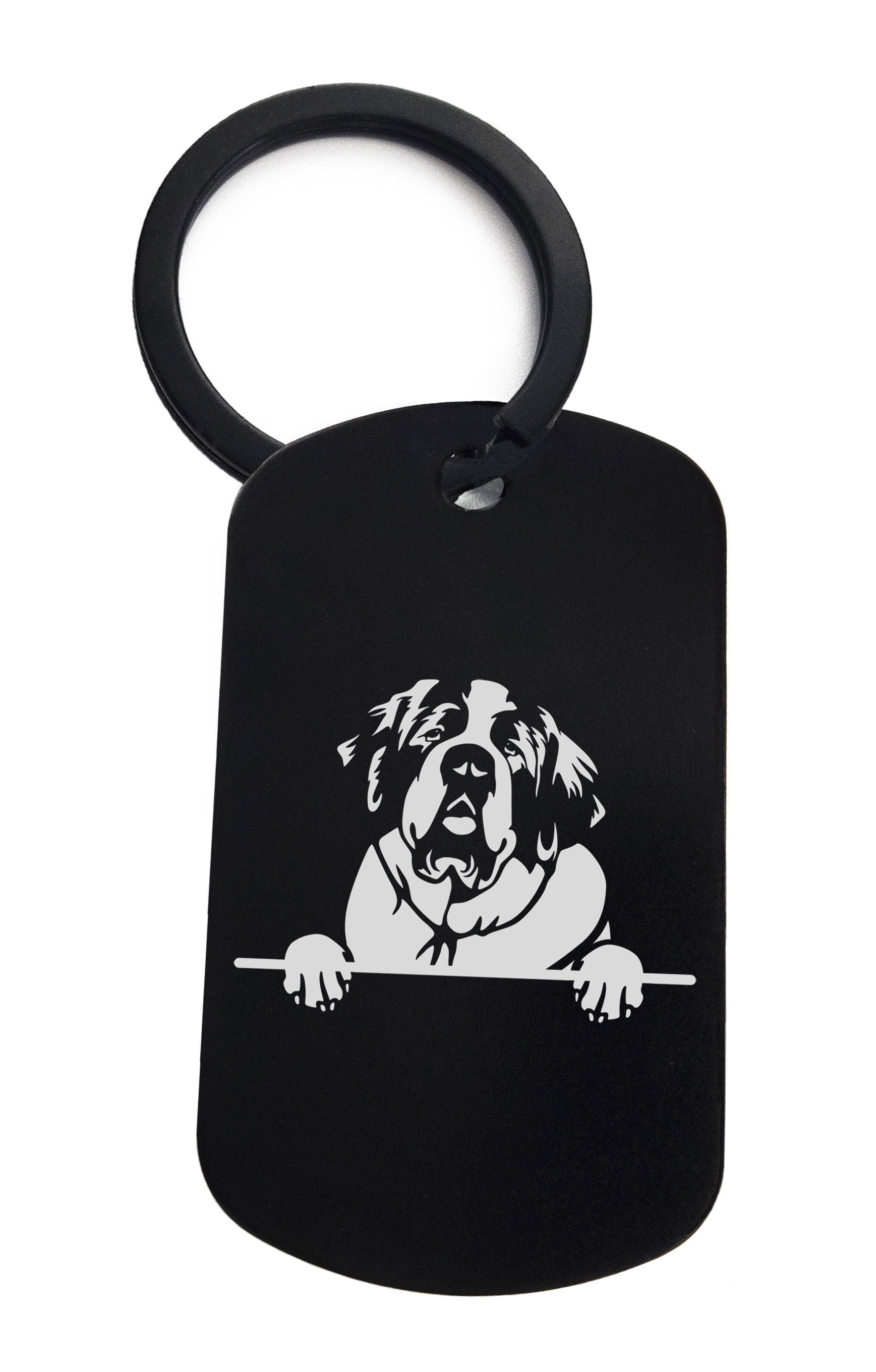 St. Bernards Cute Dog