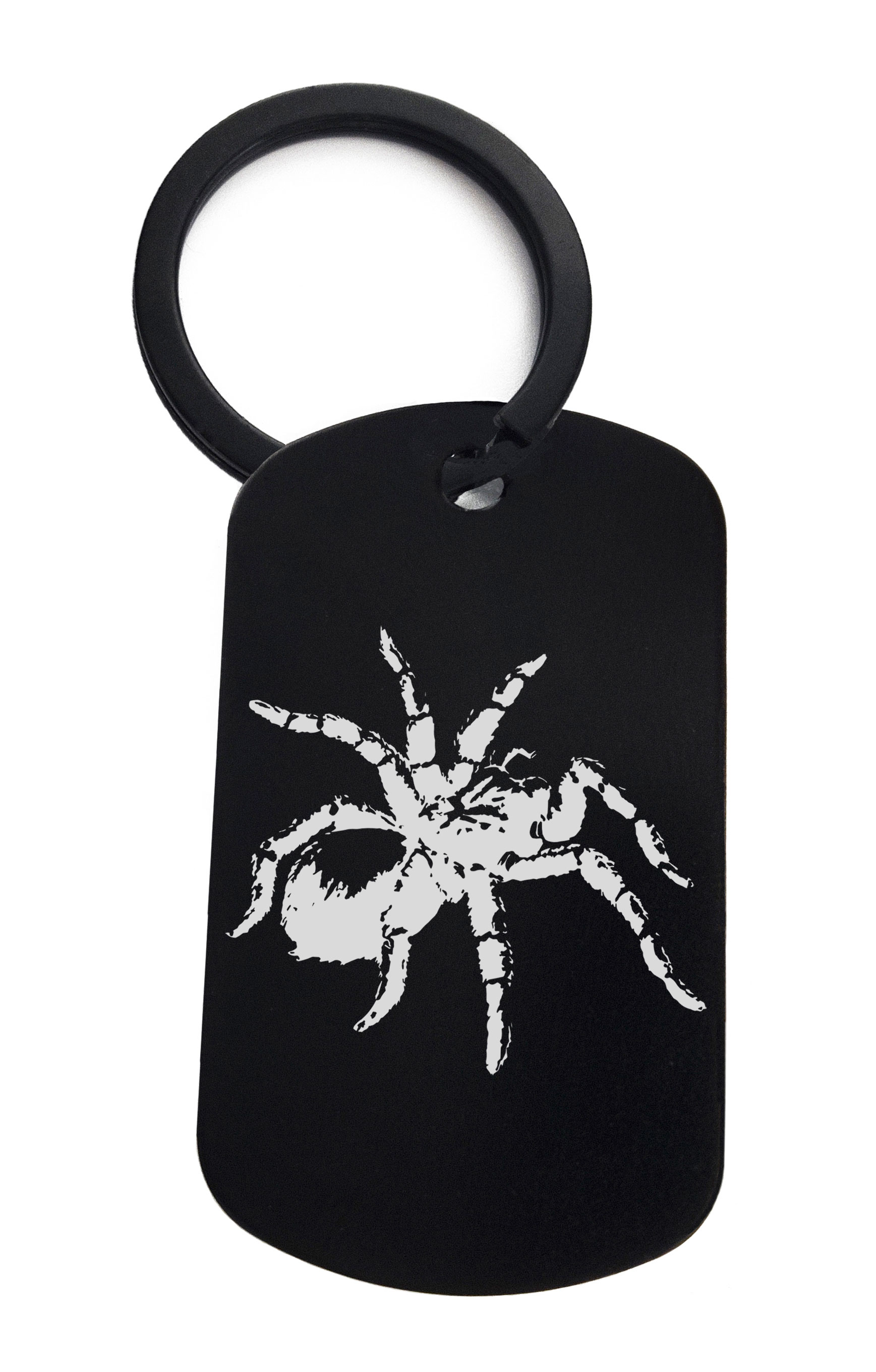 Spider Spirit Animal