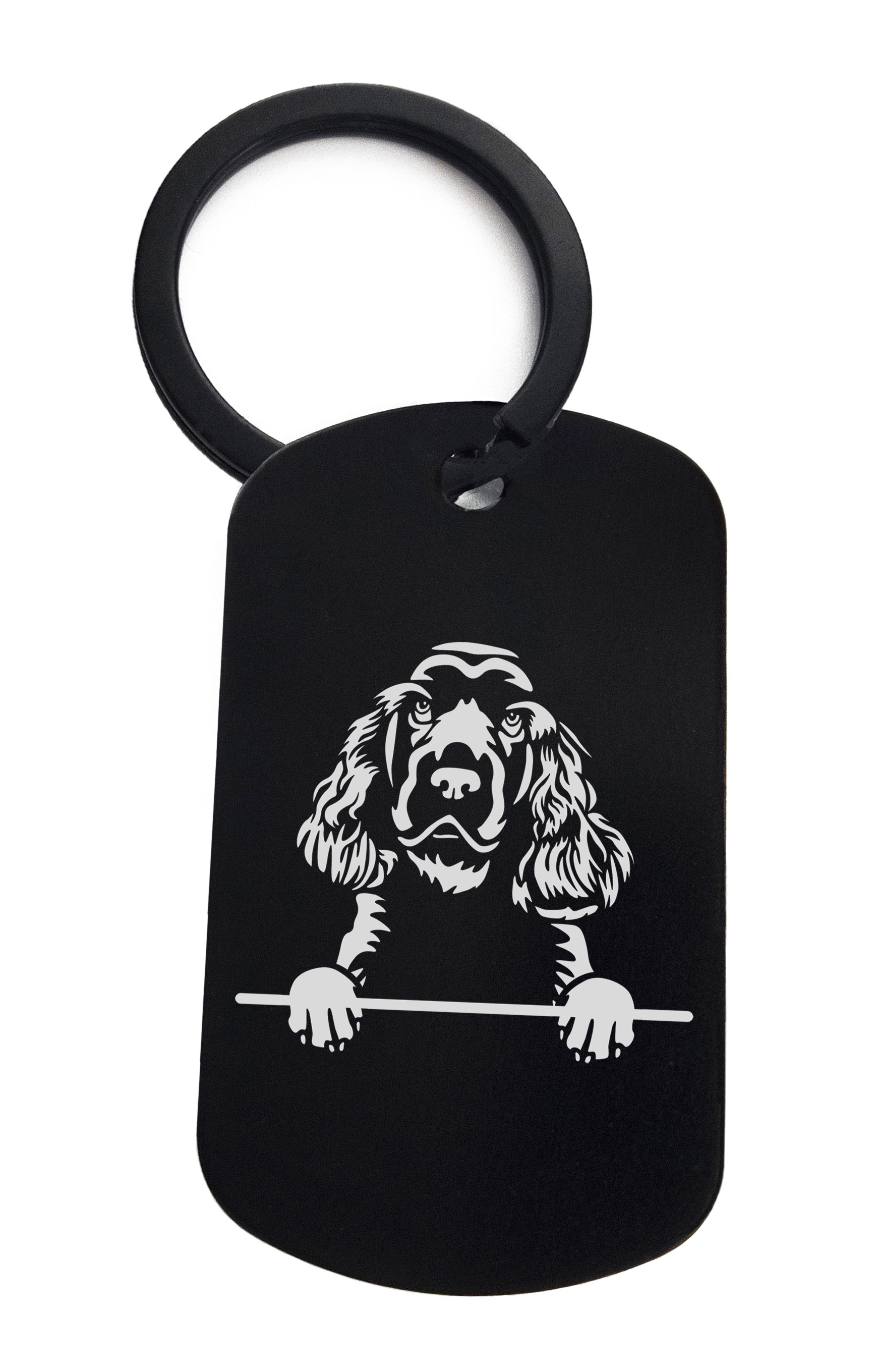 Spaniels Sussex Cute Dog