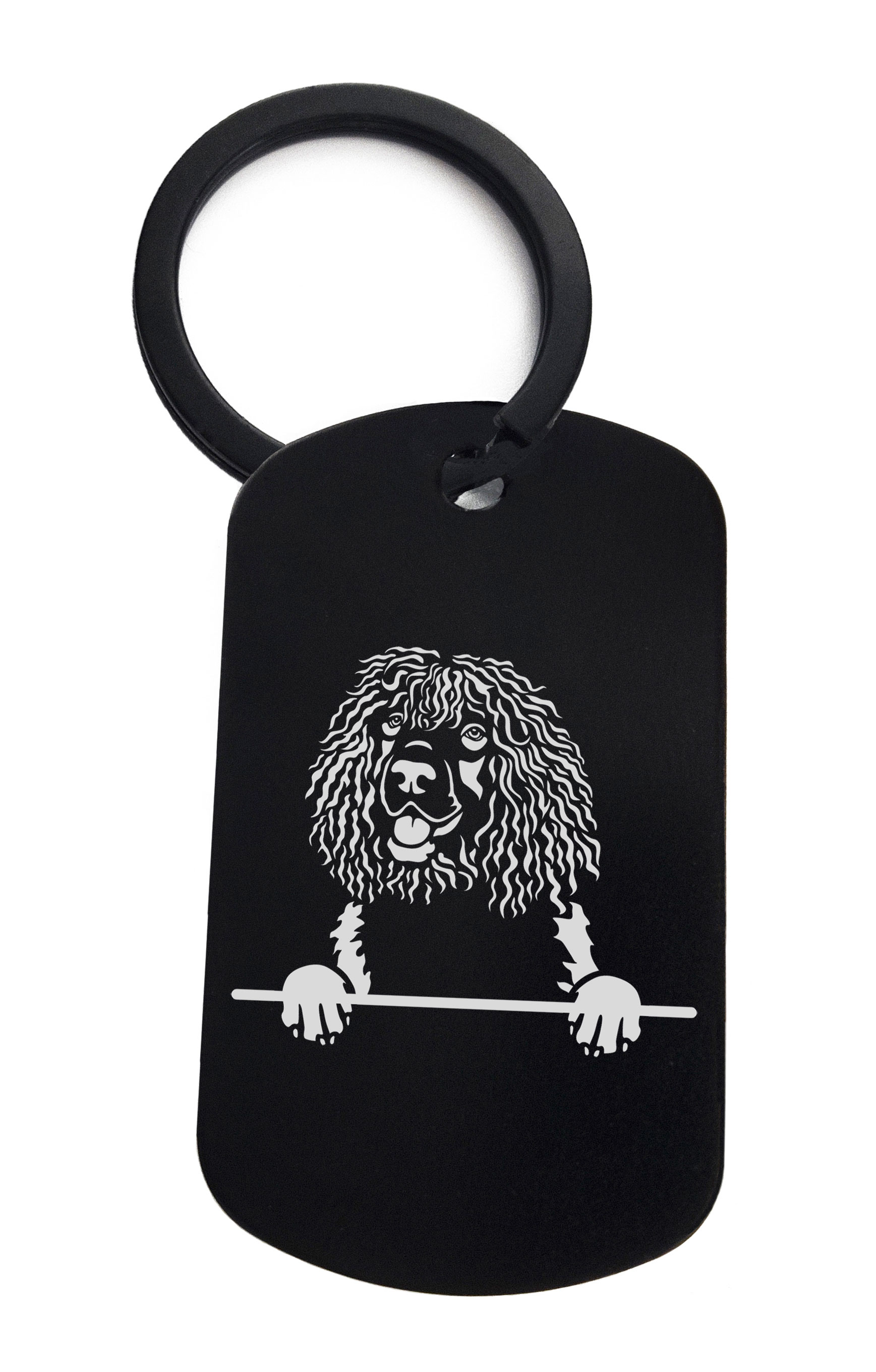Spaniels Irish Water Cute Dog