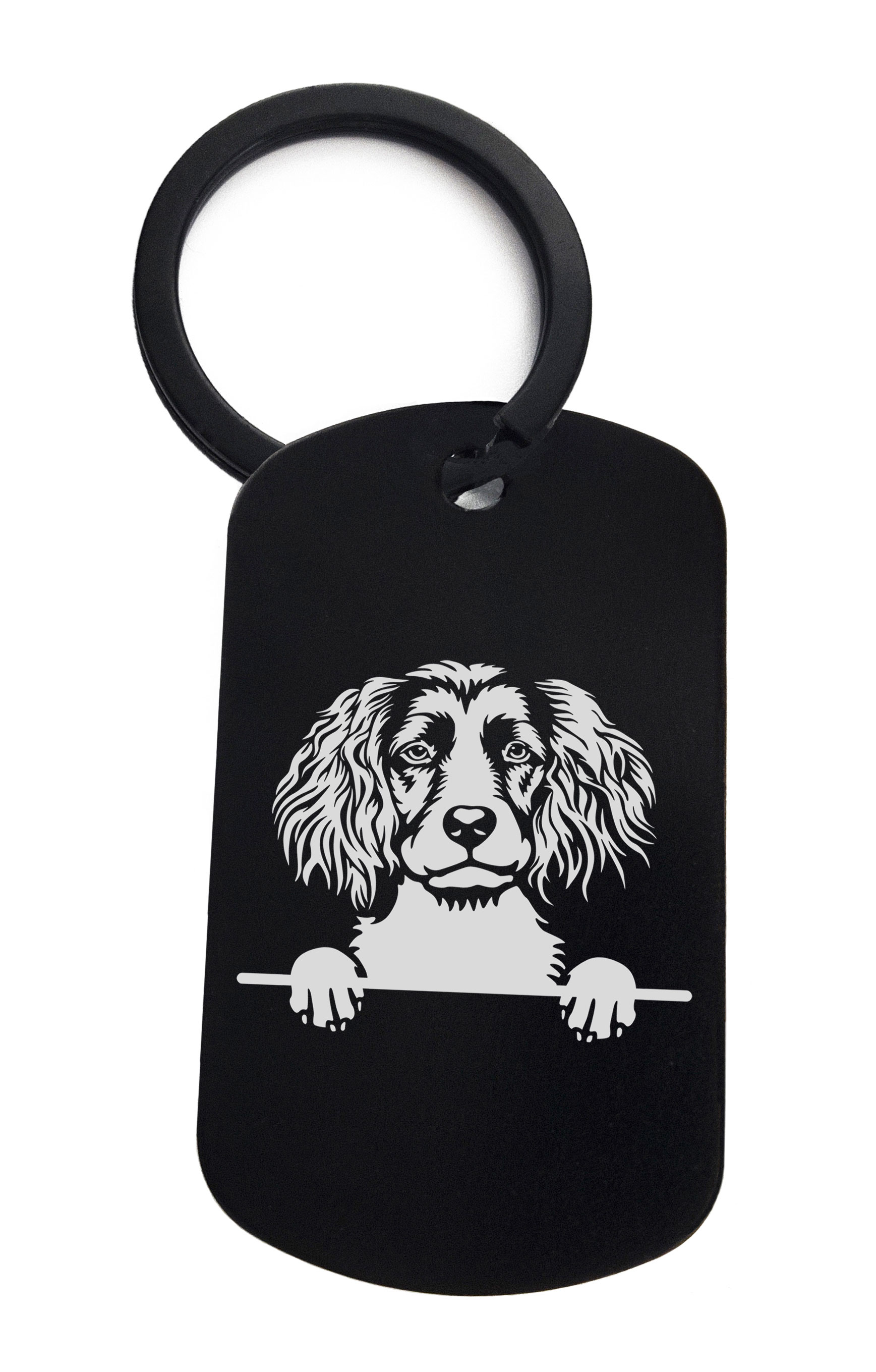 Spaniels Boykin Cute Dog