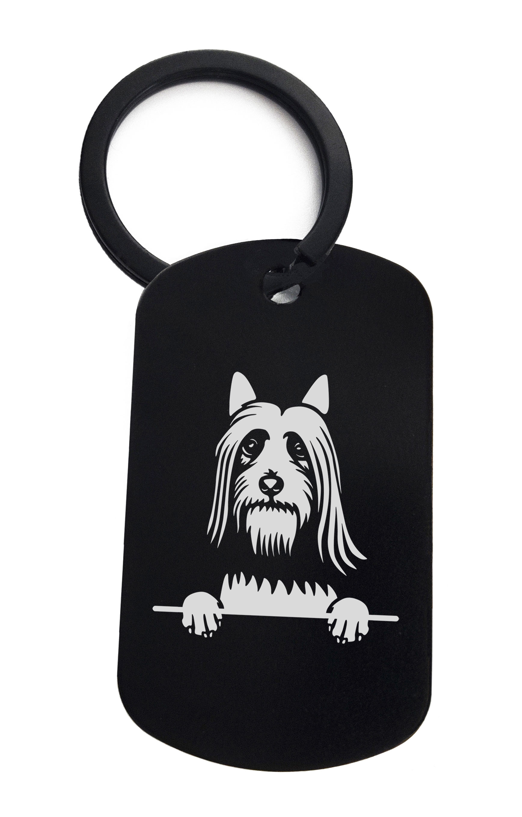 Silky Terriers Cute Dog