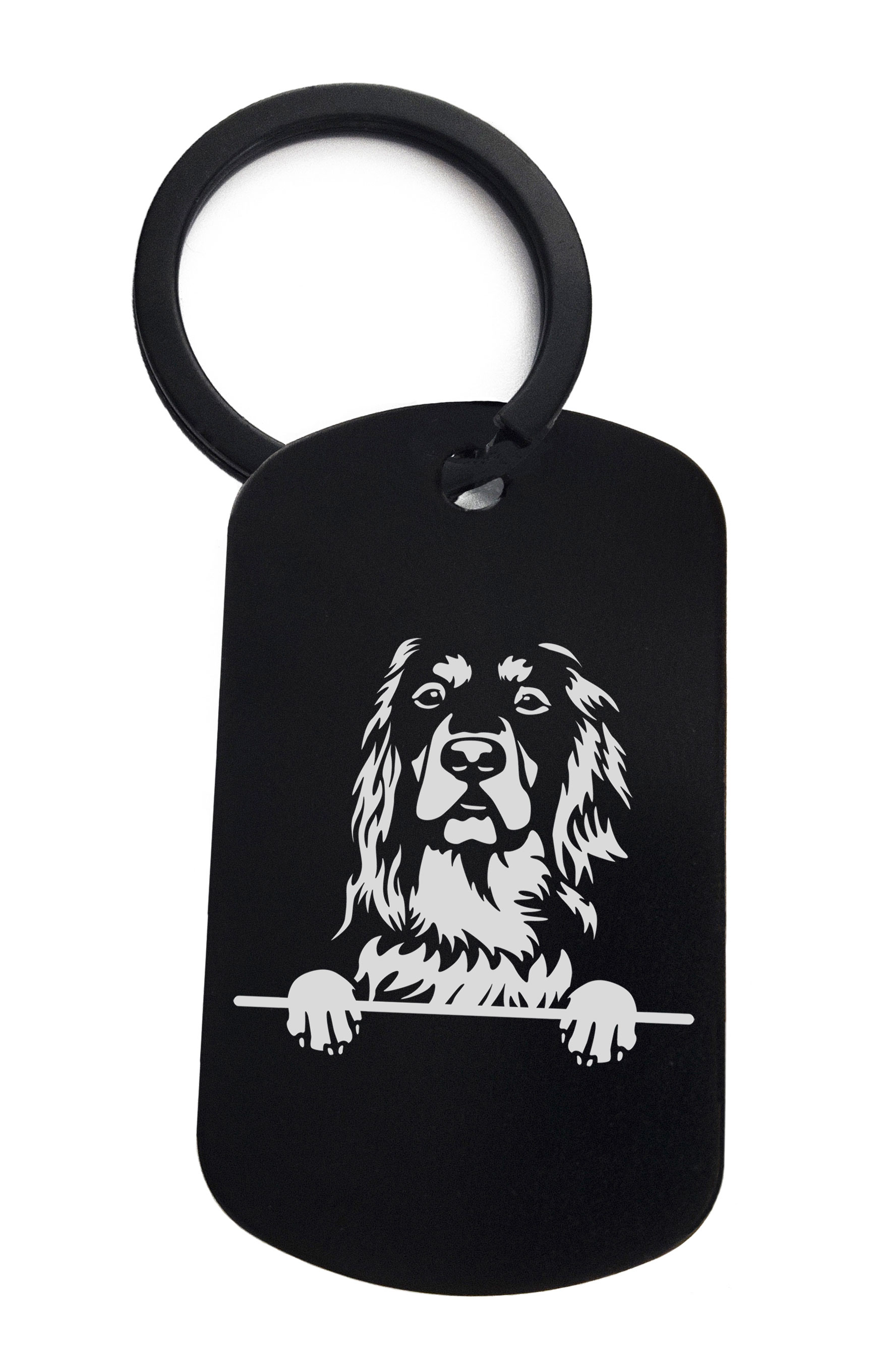 Setters Gordon Cute Dog