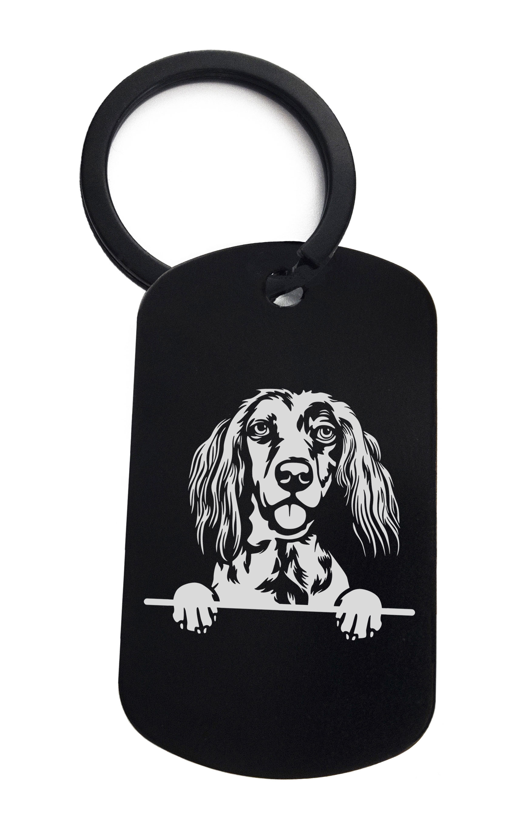 Setters English Cute Dog