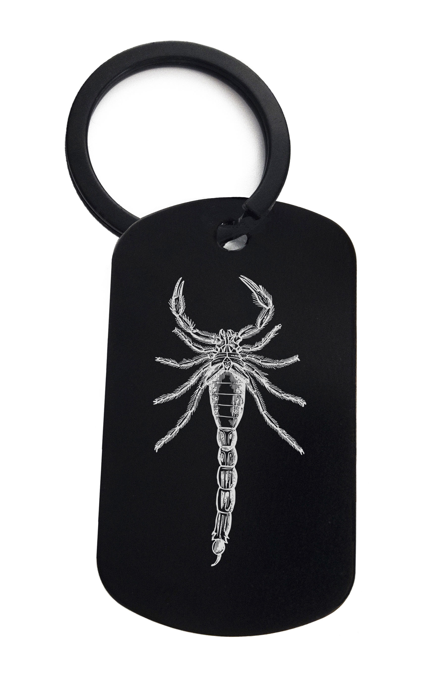 Scorpion Art Spirit Animal